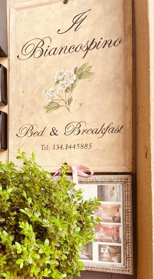 B&B Il Biancospino Abbadia San Salvator Εξωτερικό φωτογραφία