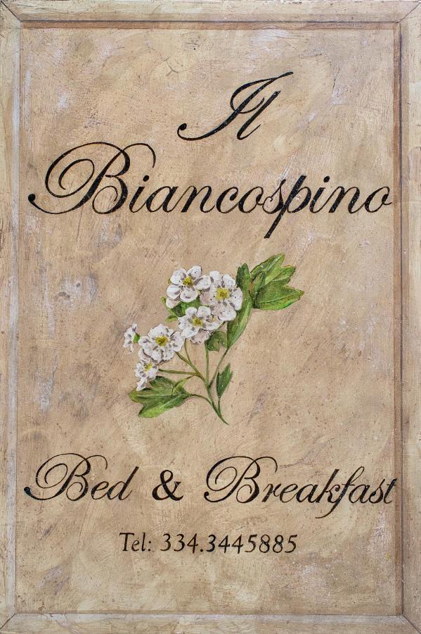 B&B Il Biancospino Abbadia San Salvator Εξωτερικό φωτογραφία